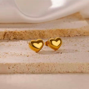 S.steel heart Earrings