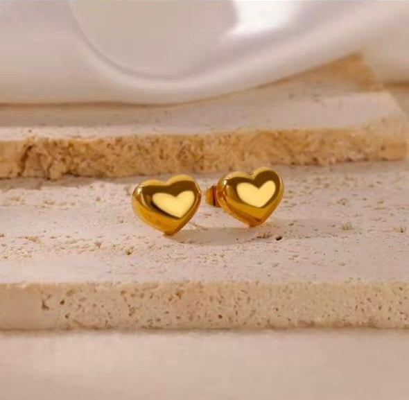 S.steel heart Earrings