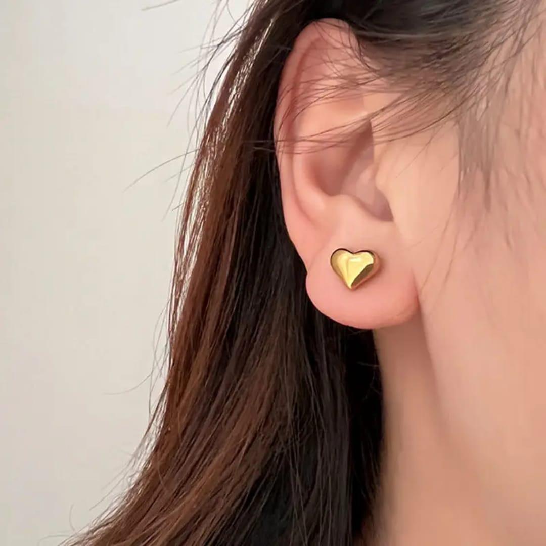 S.steel heart Earrings