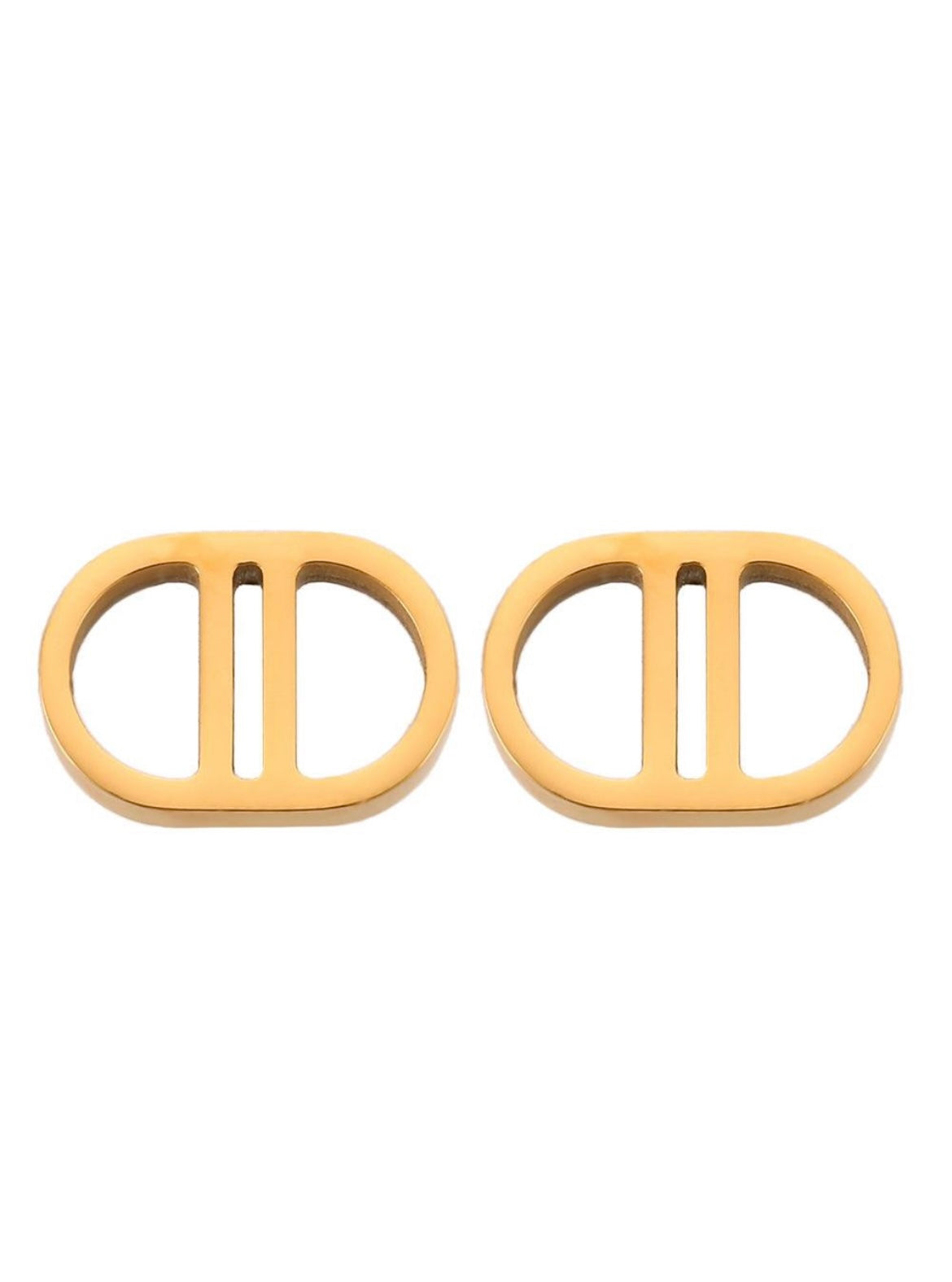 S.Steel C.Dior  Ear Studs