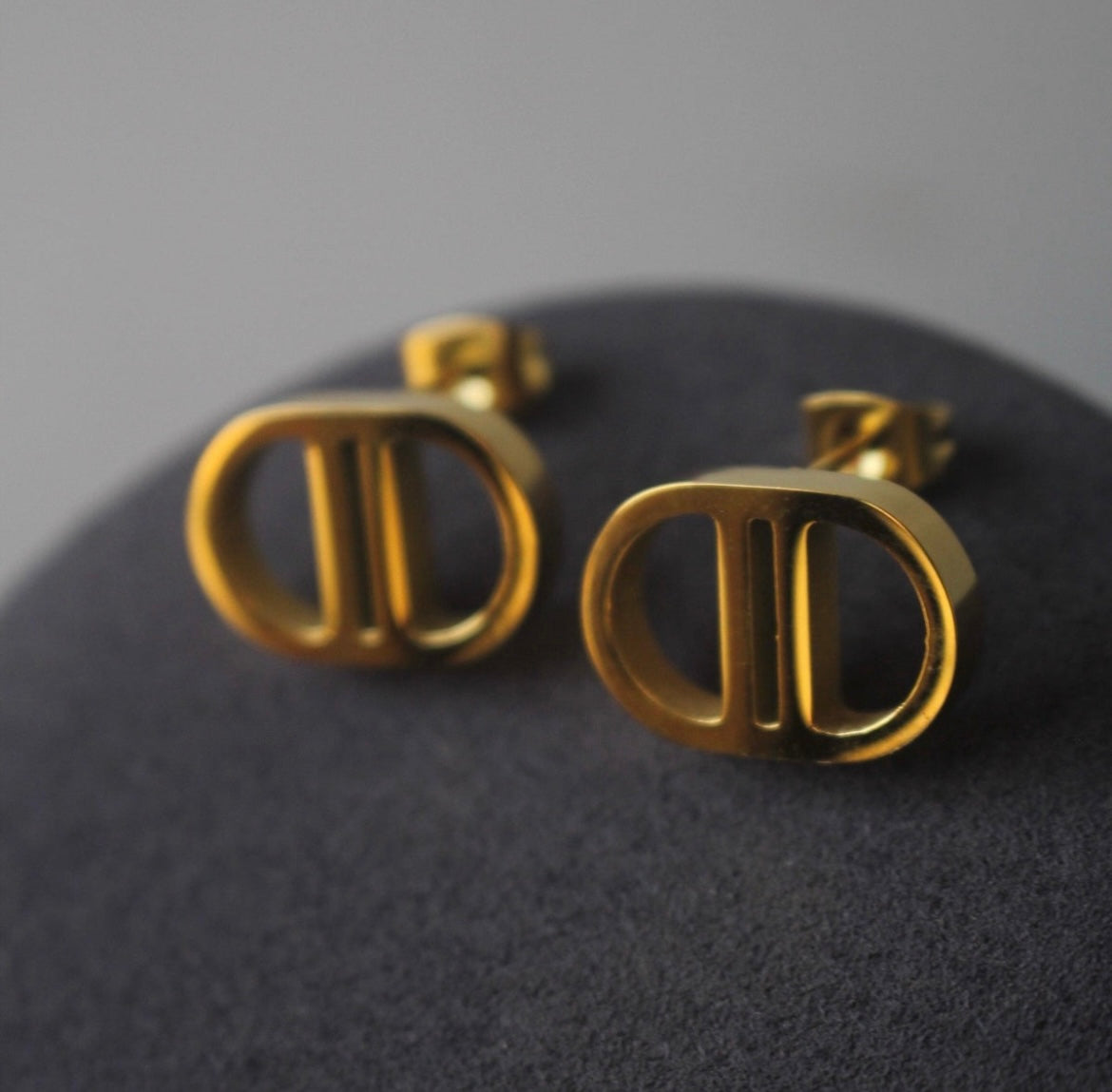 S.Steel C.Dior  Ear Studs