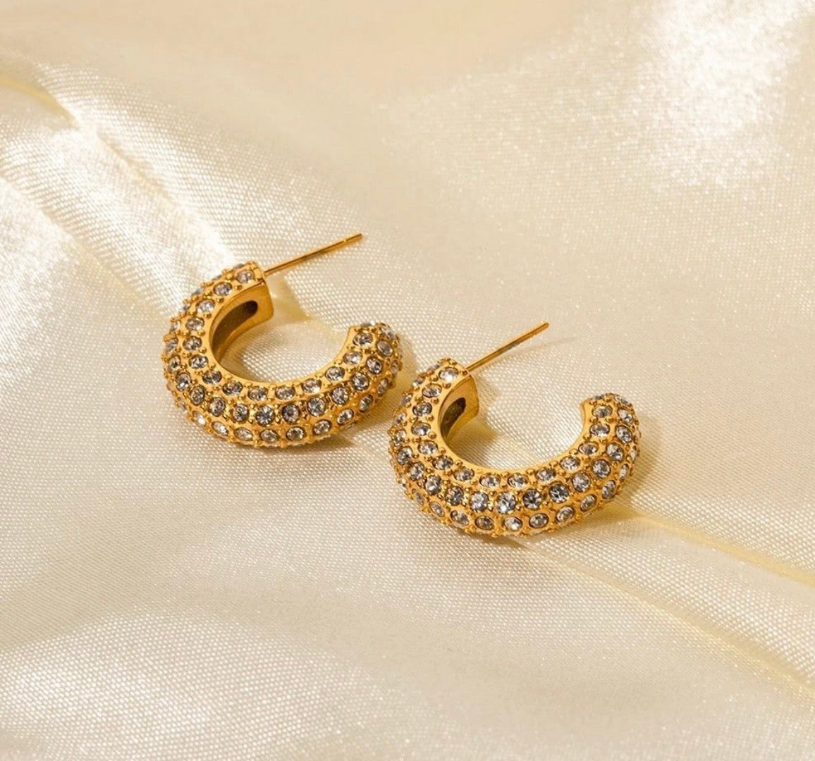 S.steel 18k Stones Ear Loops