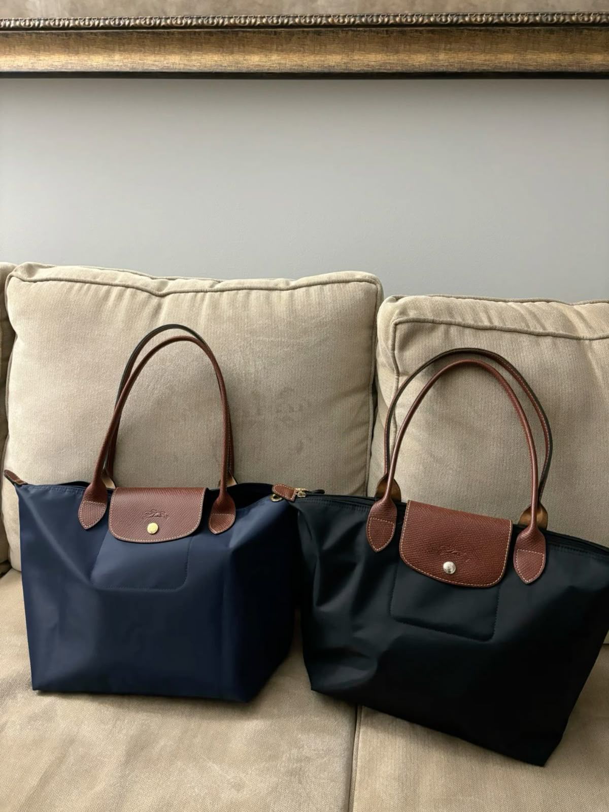 Le Pliage M Tote Bag(medium)